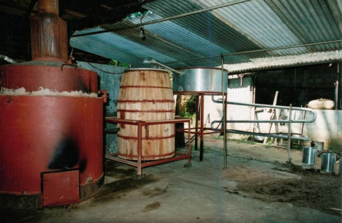 Cinnamon Industry in Srilanka